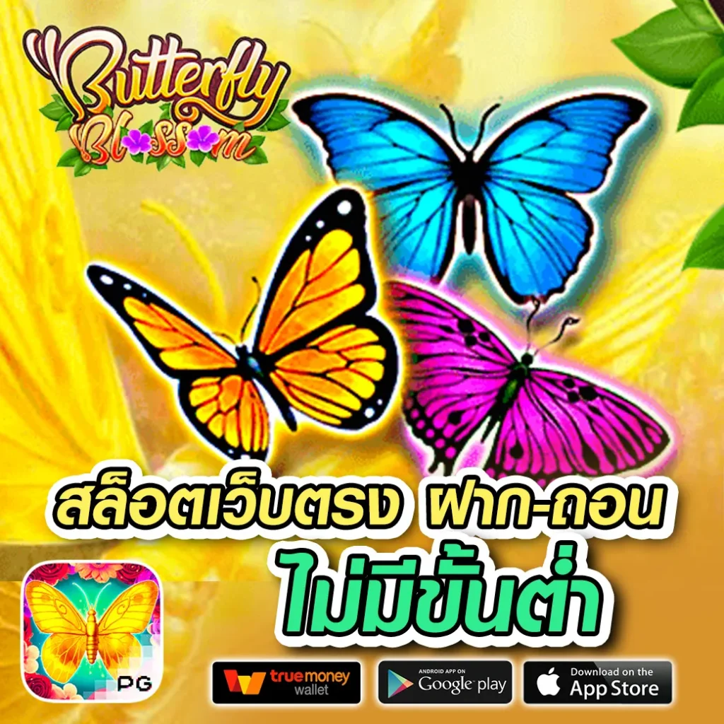 duangsettee 168 เล่นง่าย